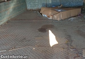 imagem_5