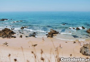 imagem_13