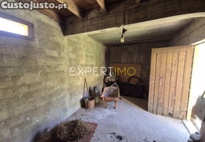 imagem_15