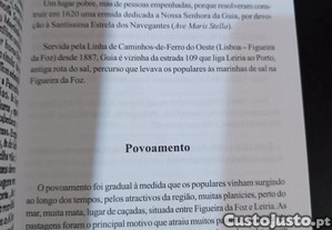 imagem_2