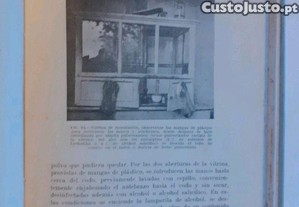imagem_8