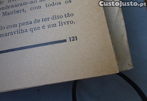 imagem_8