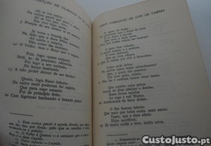 imagem_8