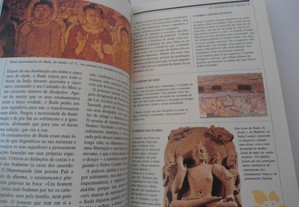 imagem_8