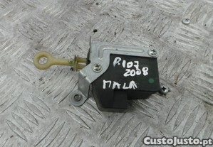 imagem_1