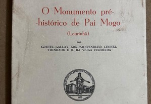 O Monumento pré-histórico de Pai Mogo