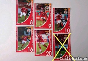 imagem_1