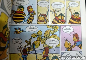 imagem_5