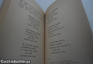 imagem_7