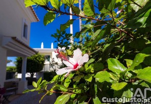 imagem_34