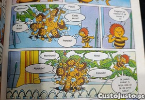 imagem_4