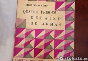 imagem_1