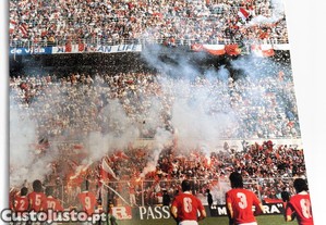 imagem_8