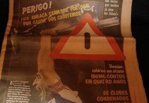 imagem_3