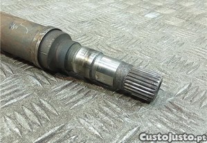 imagem_5