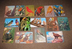 47 Calendários de "Pássaros e Aves" Impecáveis!