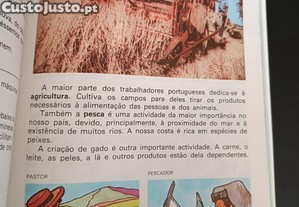 imagem_4