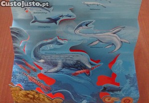 imagem_5