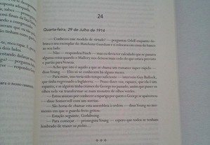 imagem_4