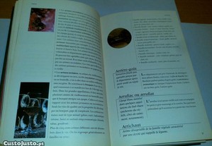 imagem_5
