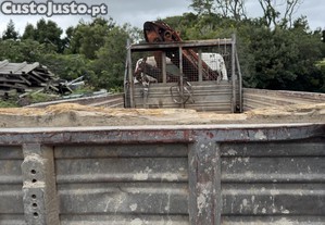 Mitsubishi 659 com bscula e grua