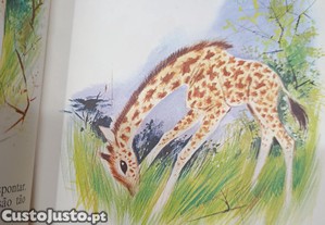 imagem_3
