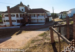 imagem_6