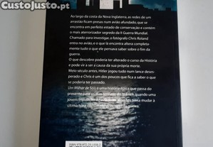 imagem_2