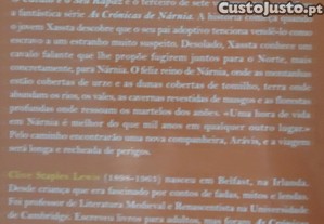 imagem_7