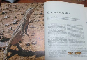 imagem_6
