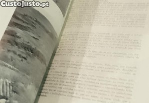 imagem_11