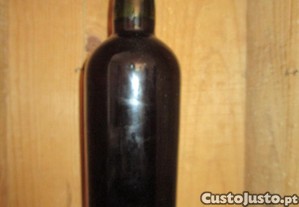 imagem_4
