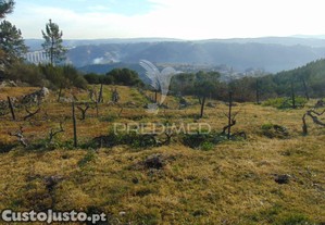 imagem_18