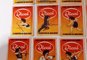 imagem_2