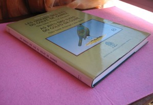 imagem_8