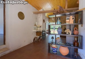 imagem_11