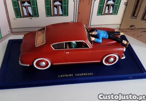 imagem_2