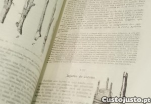 imagem_9