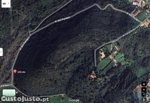 Terreno em Carvoeira de 2187,00 m²