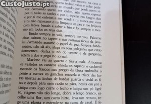 imagem_7