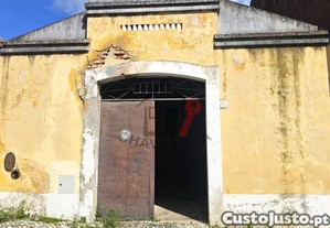 imagem_10