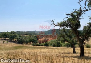 Terreno para construo em so francisco da serra