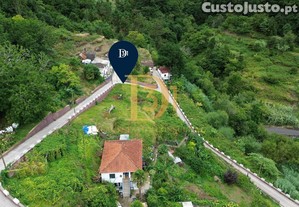 imagem_11