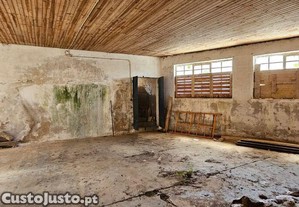 imagem_12