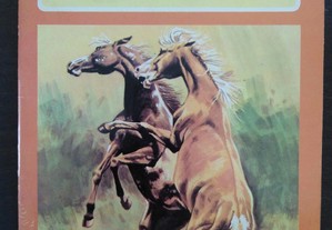 livro: George Beal / George Stokes "Primeiras perguntas sobre cavalos"
