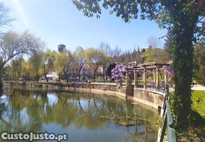 imagem_30