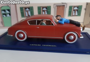 imagem_3