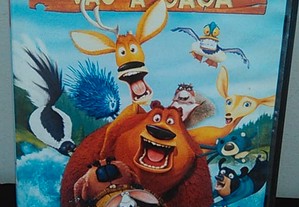 imagem_2