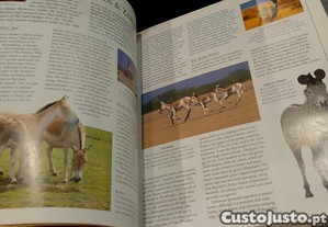 imagem_15