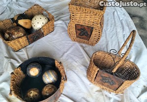 imagem_6
